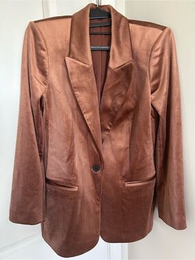 Express Copper Velvet Blazer Jacket